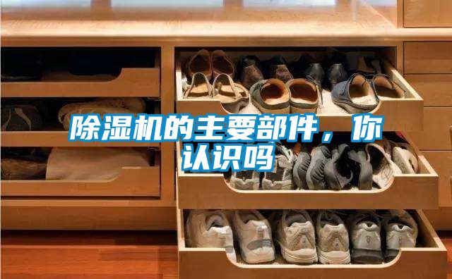 除濕機的主要部件，你認識嗎
