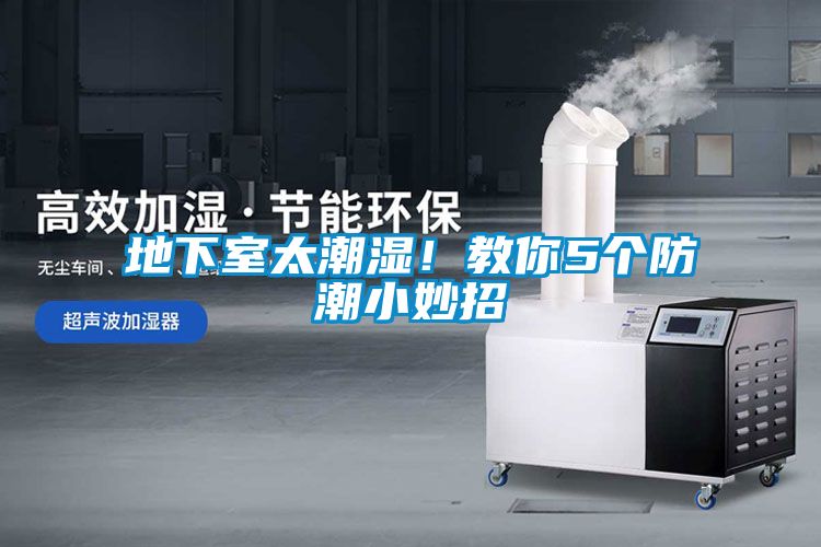 地下室太潮濕！教你5個(gè)防潮小妙招