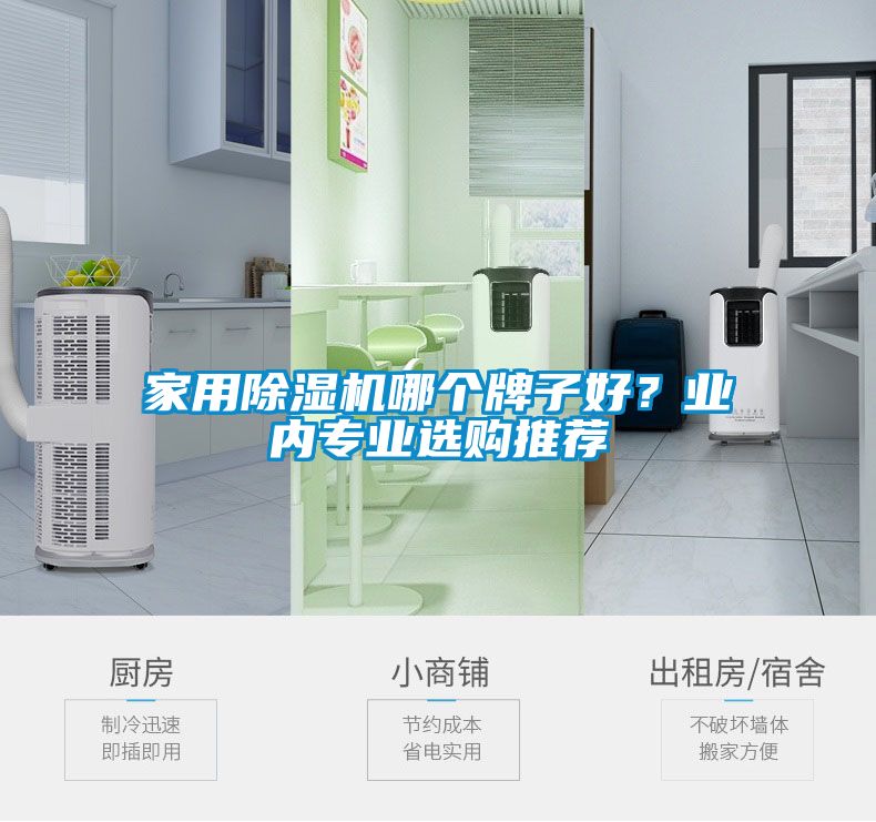 家用除濕機哪個(gè)牌子好？業(yè)內專(zhuān)業(yè)選購推薦