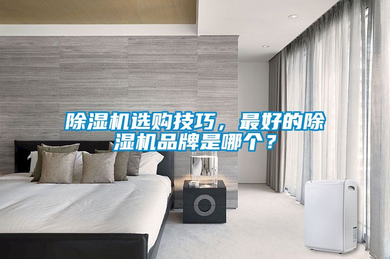 除濕機選購技巧，最好的除濕機品牌是哪個(gè)？