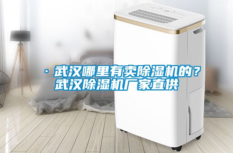 ·武漢哪里有賣(mài)除濕機的？武漢除濕機廠(chǎng)家直供