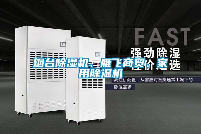 煙臺除濕機、雁飛商貿、家用除濕機