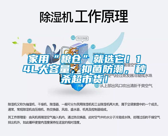 家用“糧倉”就選它！14L大容量，抑菌防潮，秒殺超市貨！