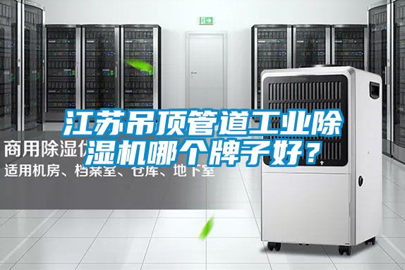 江蘇吊頂管道工業(yè)除濕機哪個(gè)牌子好？