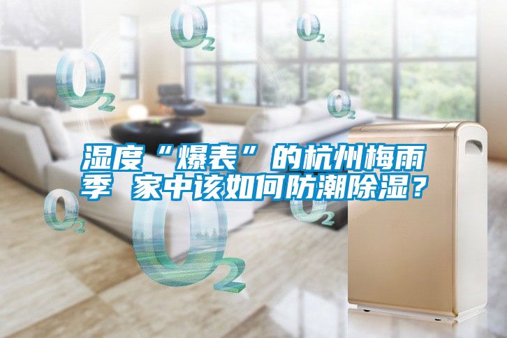 濕度“爆表”的杭州梅雨季 家中該如何防潮除濕？