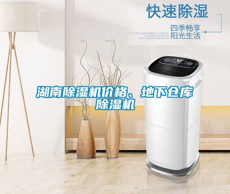 湖南除濕機價(jià)格、地下倉庫除濕機