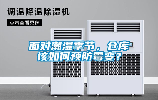 面對潮濕季節，倉庫該如何預防霉變？