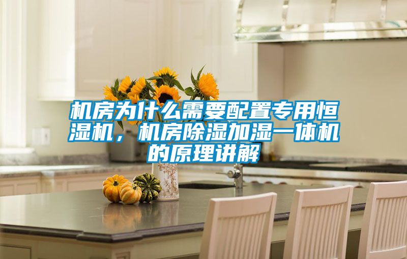 機房為什么需要配置專(zhuān)用恒濕機，機房除濕加濕一體機的原理講解