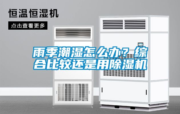 雨季潮濕怎么辦？綜合比較還是用除濕機