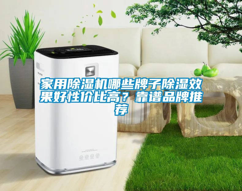 家用除濕機哪些牌子除濕效果好性?xún)r(jià)比高？靠譜品牌推薦