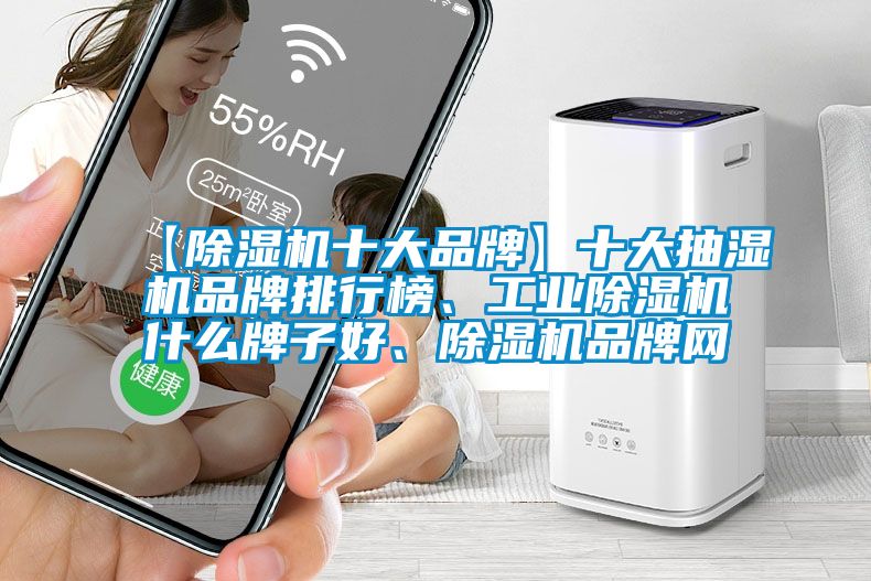 【除濕機十大品牌】十大抽濕機品牌排行榜、工業(yè)除濕機什么牌子好、除濕機品牌網(wǎng)