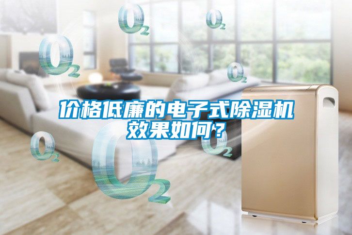價(jià)格低廉的電子式除濕機效果如何？