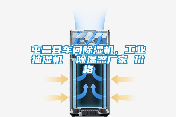 屯昌縣車(chē)間除濕機，工業(yè)抽濕機  除濕器廠(chǎng)家 價(jià)格