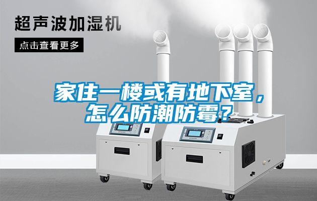 家住一樓或有地下室，怎么防潮防霉？