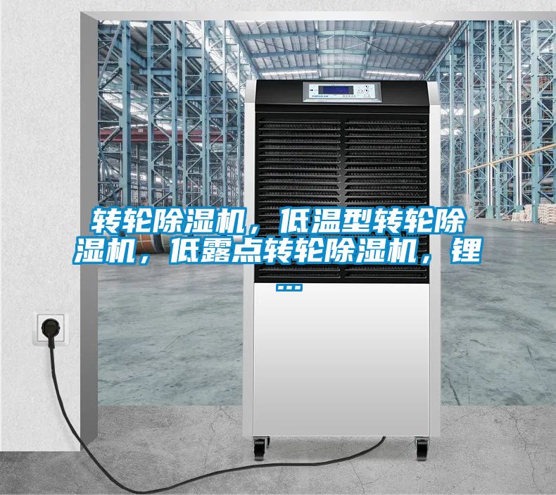 轉輪除濕機，低溫型轉輪除濕機，低露點(diǎn)轉輪除濕機，鋰 ...