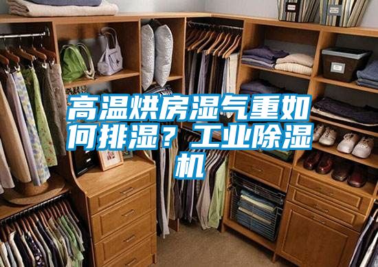 高溫烘房濕氣重如何排濕？工業(yè)除濕機