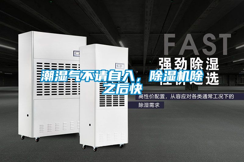 潮濕氣不請自入，除濕機除之后快