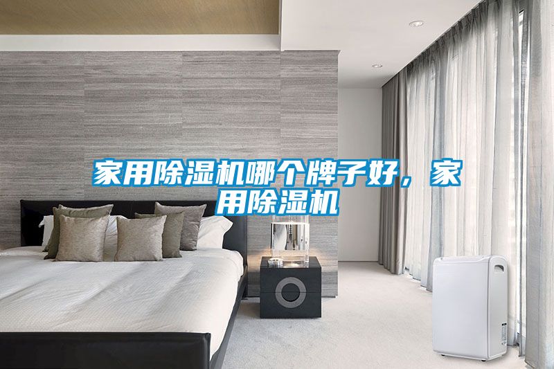 家用除濕機哪個(gè)牌子好，家用除濕機