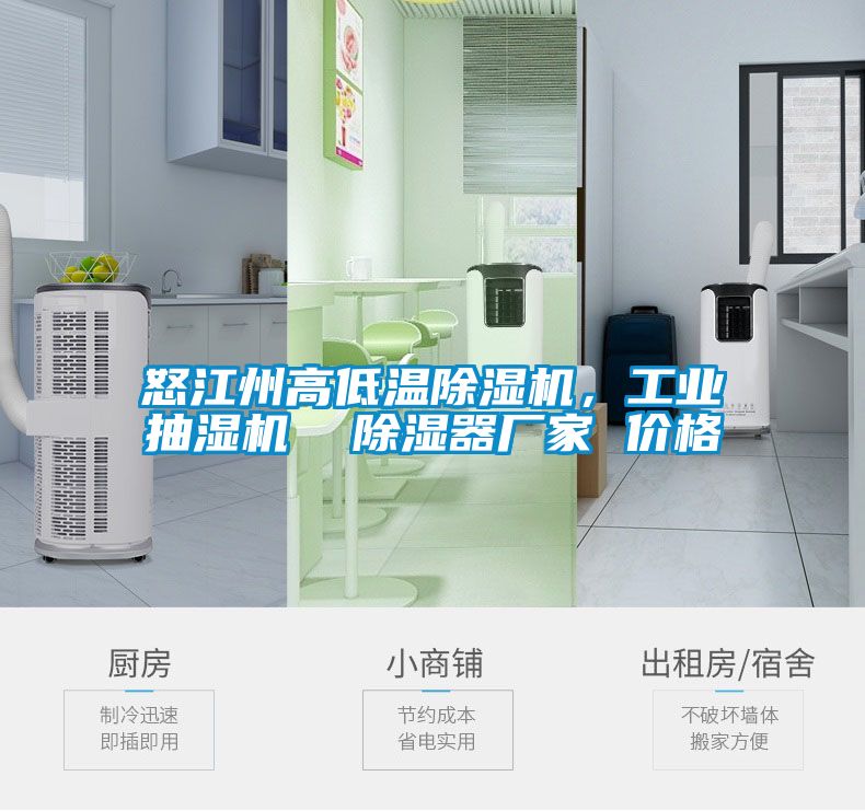 怒江州高低溫除濕機，工業(yè)抽濕機  除濕器廠(chǎng)家 價(jià)格