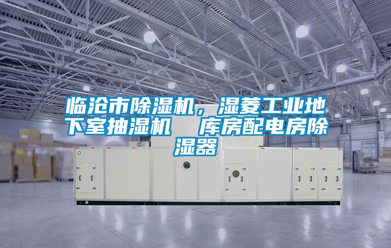 臨滄市除濕機，濕菱工業(yè)地下室抽濕機  庫房配電房除濕器