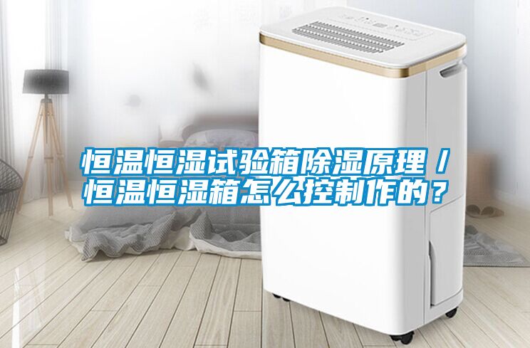 恒溫恒濕試驗箱除濕原理／恒溫恒濕箱怎么控制作的？
