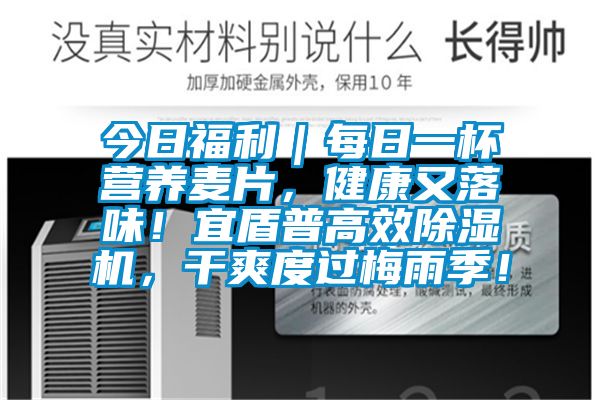 今日福利｜每日一杯營(yíng)養麥片，健康又落味！宜盾普高效除濕機，干爽度過(guò)梅雨季！
