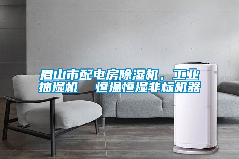 眉山市配電房除濕機，工業(yè)抽濕機  恒溫恒濕非標機器