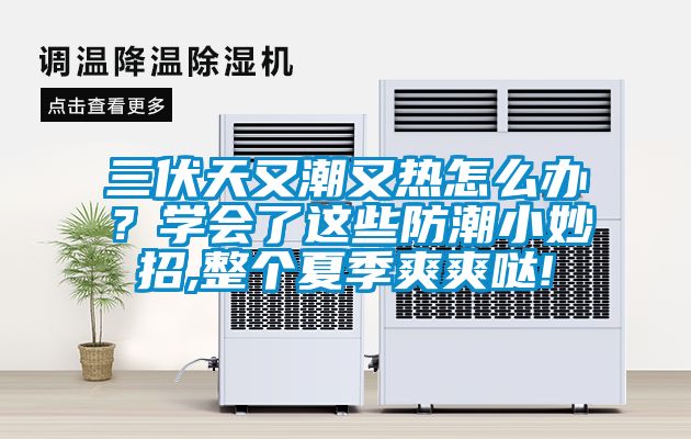 三伏天又潮又熱怎么辦？學(xué)會(huì )了這些防潮小妙招,整個(gè)夏季爽爽噠!