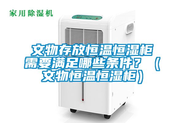 文物存放恒溫恒濕柜需要滿(mǎn)足哪些條件？（文物恒溫恒濕柜）