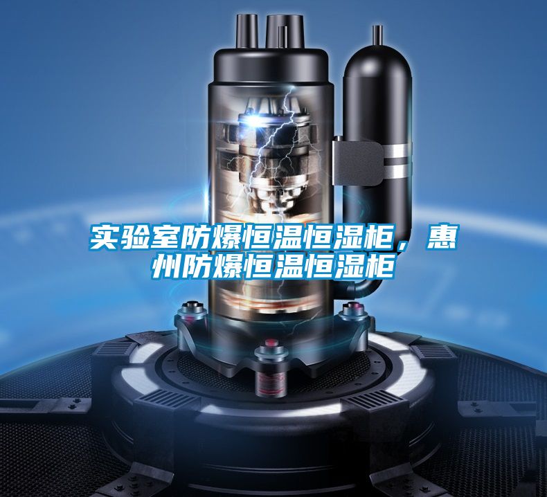實(shí)驗室防爆恒溫恒濕柜，惠州防爆恒溫恒濕柜