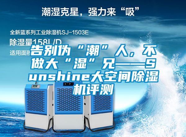 告別偽“潮”人，不做大“濕”兄——Sunshine大空間除濕機評測