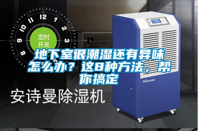 地下室很潮濕還有異味怎么辦？這8種方法，幫你搞定
