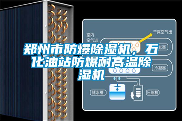 鄭州市防爆除濕機，石化油站防爆耐高溫除濕機