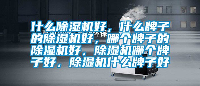 什么除濕機好，什么牌子的除濕機好，哪個(gè)牌子的除濕機好，除濕機哪個(gè)牌子好，除濕機什么牌子好