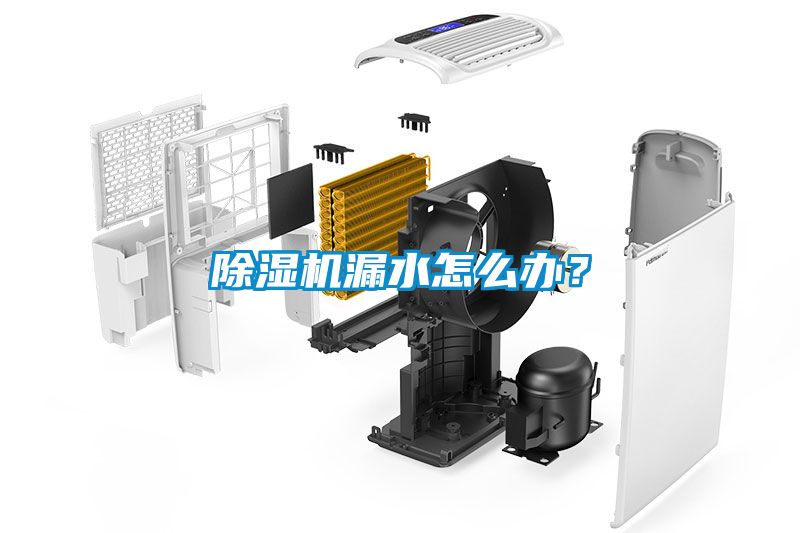 除濕機漏水怎么辦？