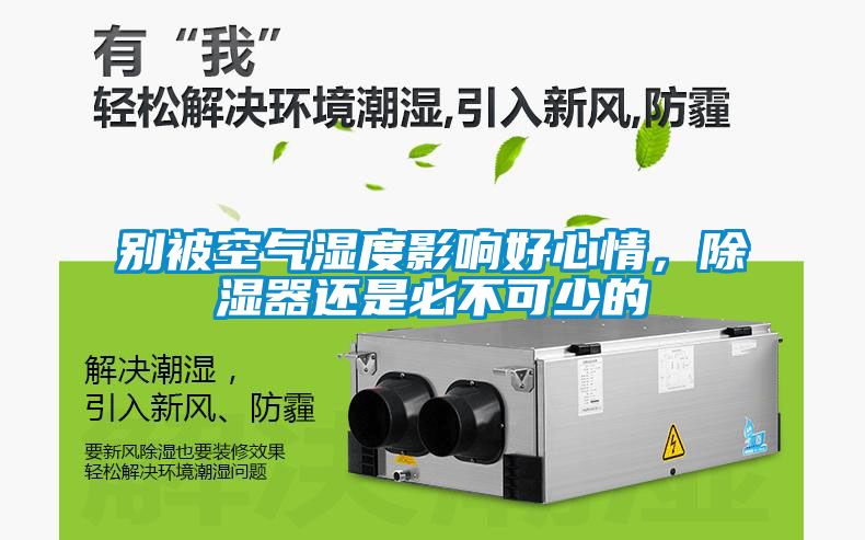 別被空氣濕度影響好心情，除濕器還是必不可少的