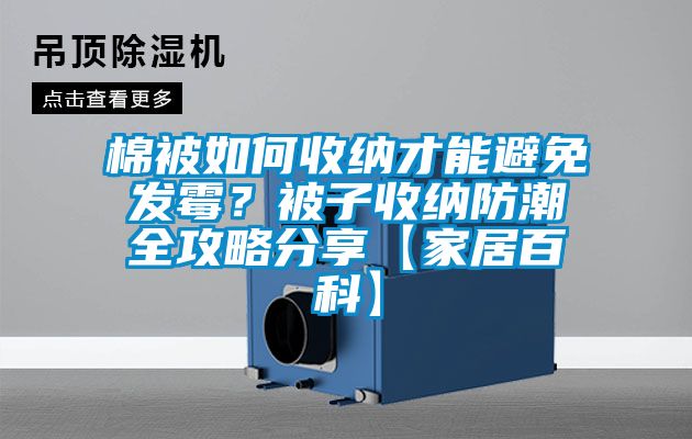 棉被如何收納才能避免發(fā)霉？被子收納防潮全攻略分享【家居百科】