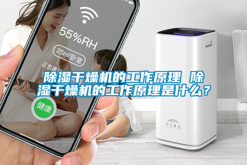 除濕干燥機的工作原理 除濕干燥機的工作原理是什么？