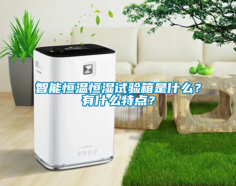 智能恒溫恒濕試驗箱是什么？有什么特點(diǎn)？