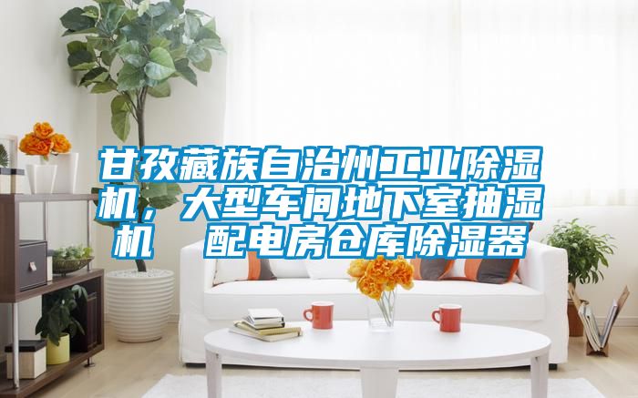 甘孜藏族自治州工業(yè)除濕機，大型車(chē)間地下室抽濕機  配電房倉庫除濕器