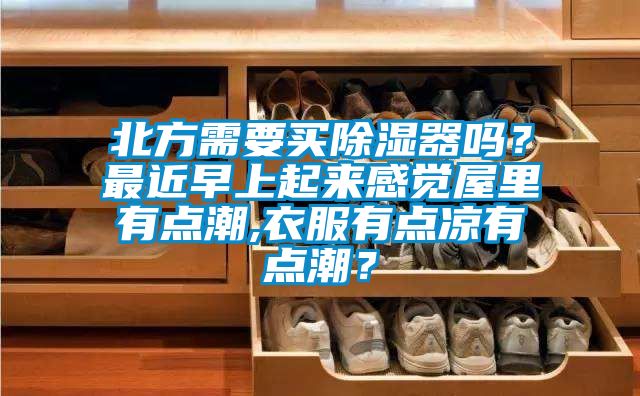 北方需要買(mǎi)除濕器嗎？最近早上起來(lái)感覺(jué)屋里有點(diǎn)潮,衣服有點(diǎn)涼有點(diǎn)潮？
