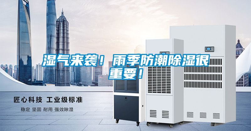 濕氣來(lái)襲！雨季防潮除濕很重要！