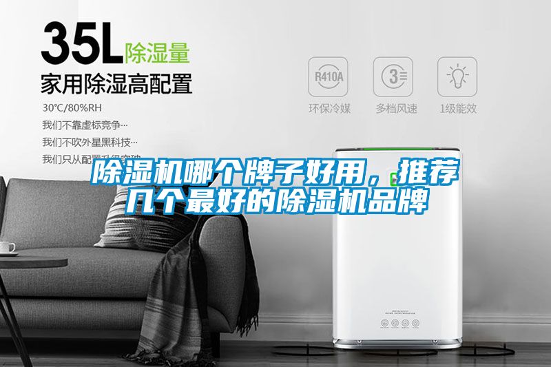 除濕機哪個(gè)牌子好用，推薦幾個(gè)最好的除濕機品牌