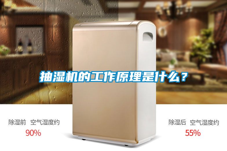 抽濕機的工作原理是什么？