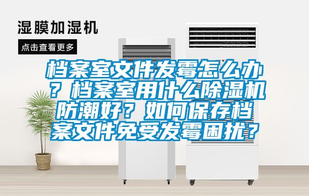 檔案室文件發(fā)霉怎么辦？檔案室用什么除濕機防潮好？如何保存檔案文件免受發(fā)霉困擾？