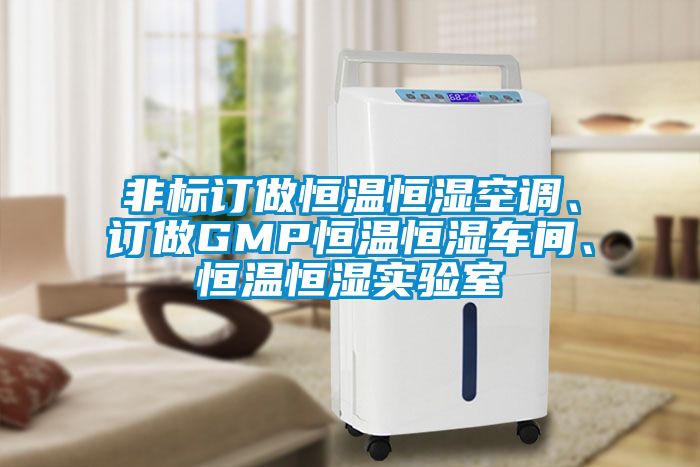 非標訂做恒溫恒濕空調、訂做GMP恒溫恒濕車(chē)間、恒溫恒濕實(shí)驗室