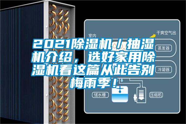 2021除濕機／抽濕機介紹，選好家用除濕機看這篇從此告別梅雨季！