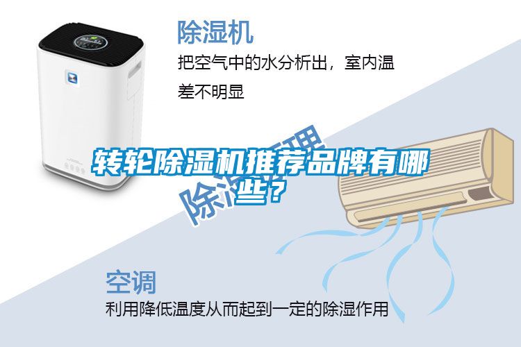 轉輪除濕機推薦品牌有哪些？