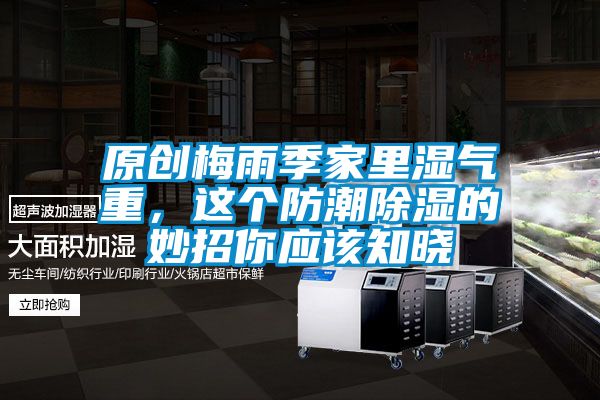 原創(chuàng  )梅雨季家里濕氣重，這個(gè)防潮除濕的妙招你應該知曉