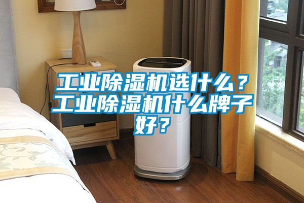 工業(yè)除濕機選什么？工業(yè)除濕機什么牌子好？